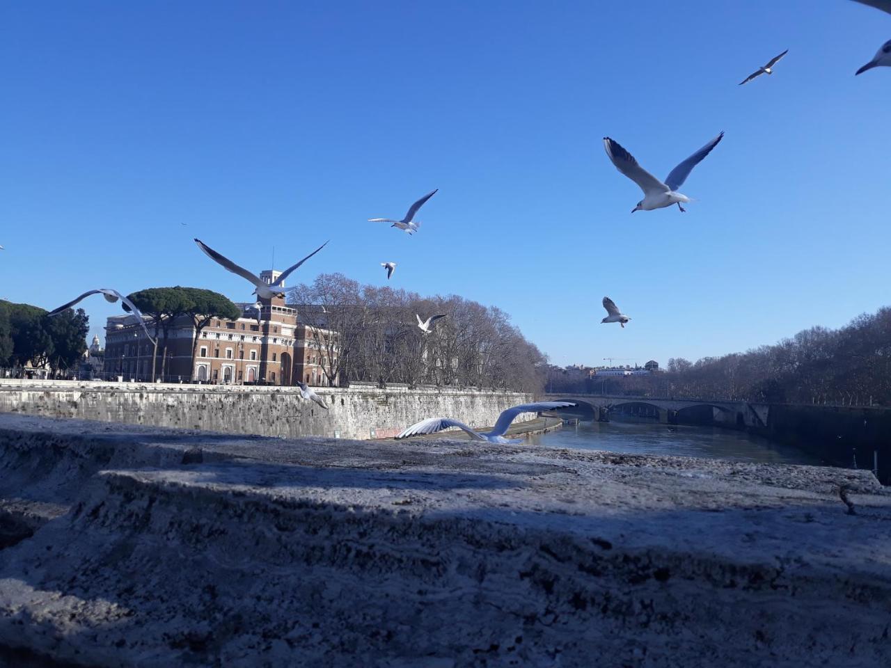 Lungotevere Collection Suite Рим Екстер'єр фото